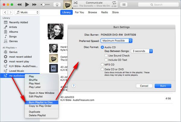 rip mp3 audios from audiobooks in iTunes