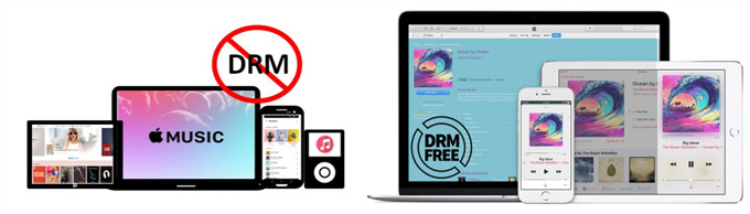 free apple music drm removal