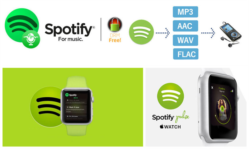 how to convert from apple music to spotify