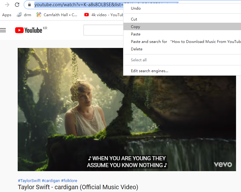 copy YouTube music video link