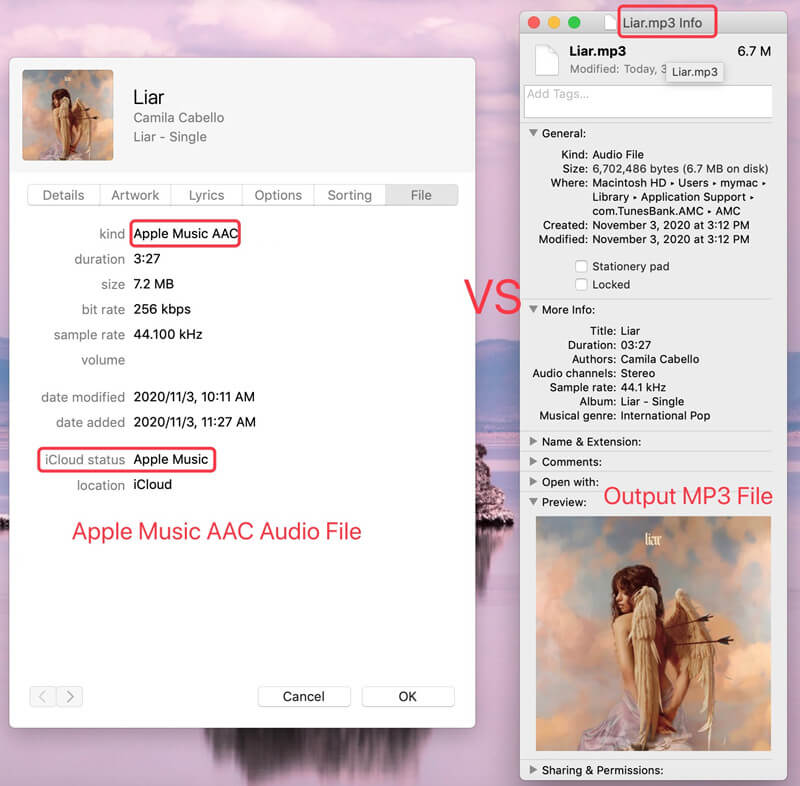 apple music aac files and mp3 files